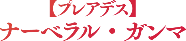 【プレアデス】ナーベラル・ガンマ